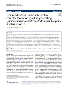 Enhanced Calcium Carbonate-Biofilm Complex Formation by Alkali
