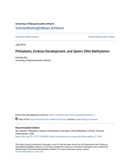 Phthalates, Embryo Development, and Sperm DNA Methylation