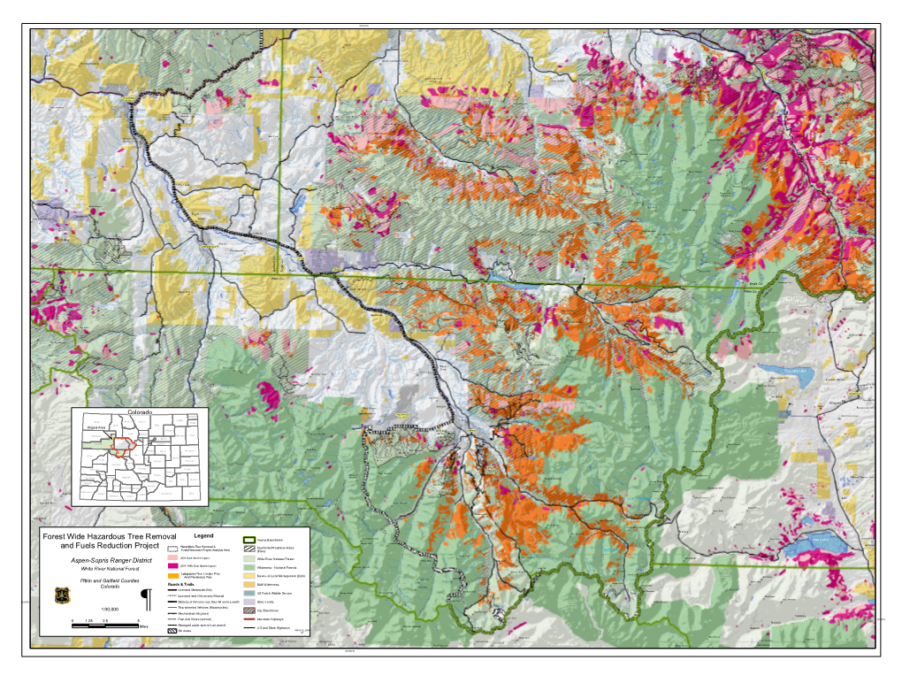 Forest Wide Hazardous Tree Removal and Fuels Reduction Project