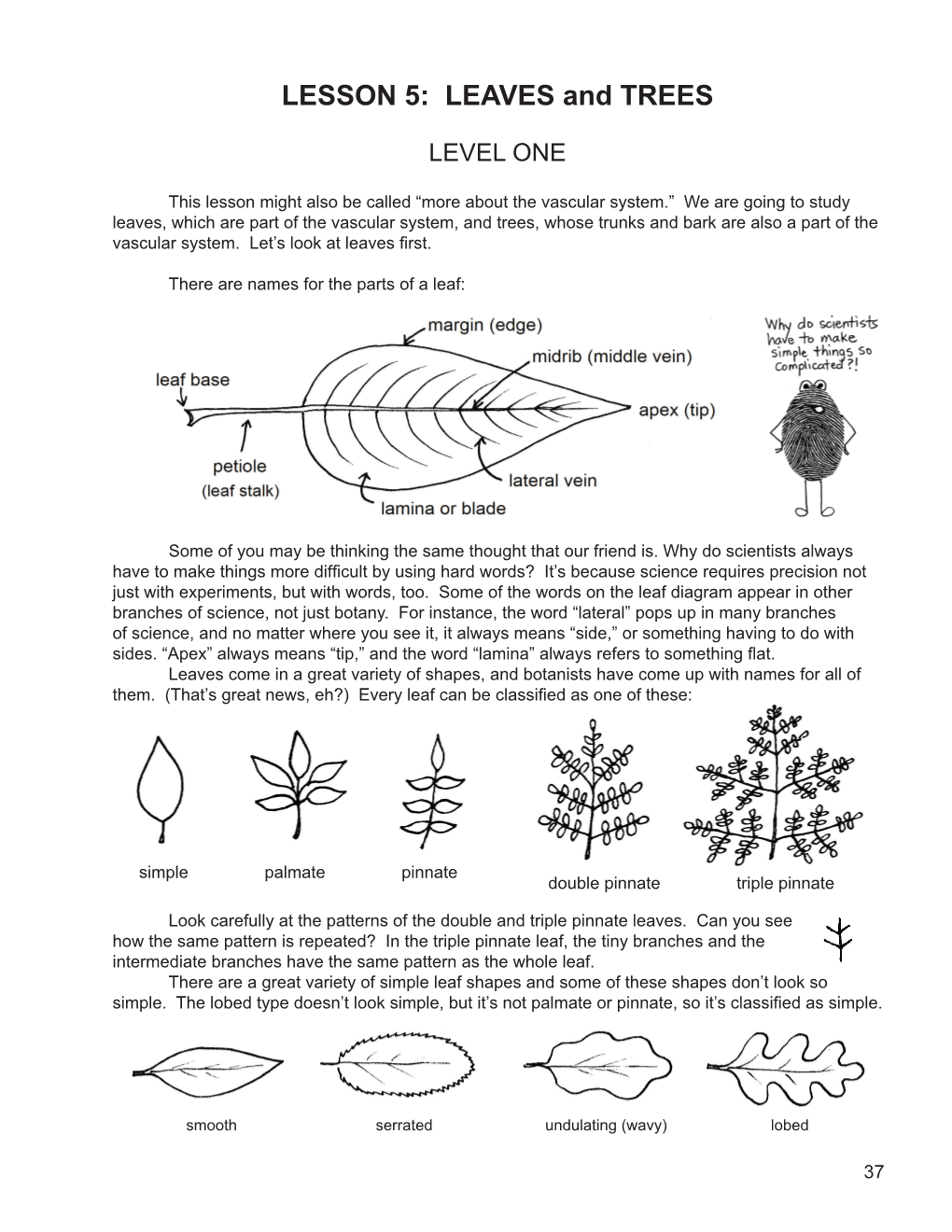 LESSON 5: LEAVES and TREES