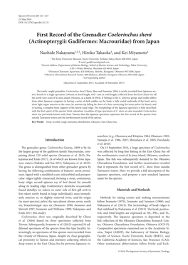 First Record of the Grenadier Coelorinchus Sheni (Actinopterygii: Gadiformes: Macrouridae) from Japan