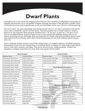Dwarf Plants Dwarf Plants Are a Very Diverse and Intriguing Group