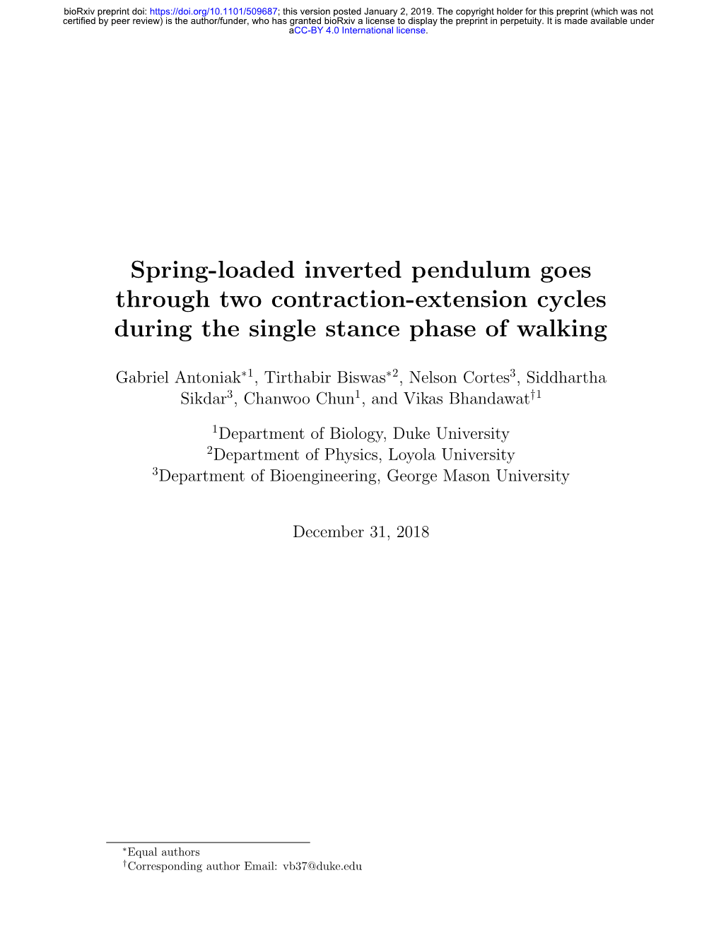 Spring-Loaded Inverted Pendulum Goes Through Two Contraction-Extension Cycles During the Single Stance Phase of Walking