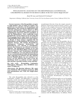 Phylogenetic Analyses of the Bryopsidales (Ulvophyceae, Chlorophyta) Based on Rubisco Large Subunit Gene Sequences1