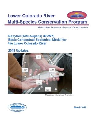 (Gila Elegans) (BONY) Basic Conceptual Ecological Model for the Lower Colorado River