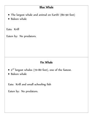 Eats: Krill Eaten By: No Predators. Fin Whale
