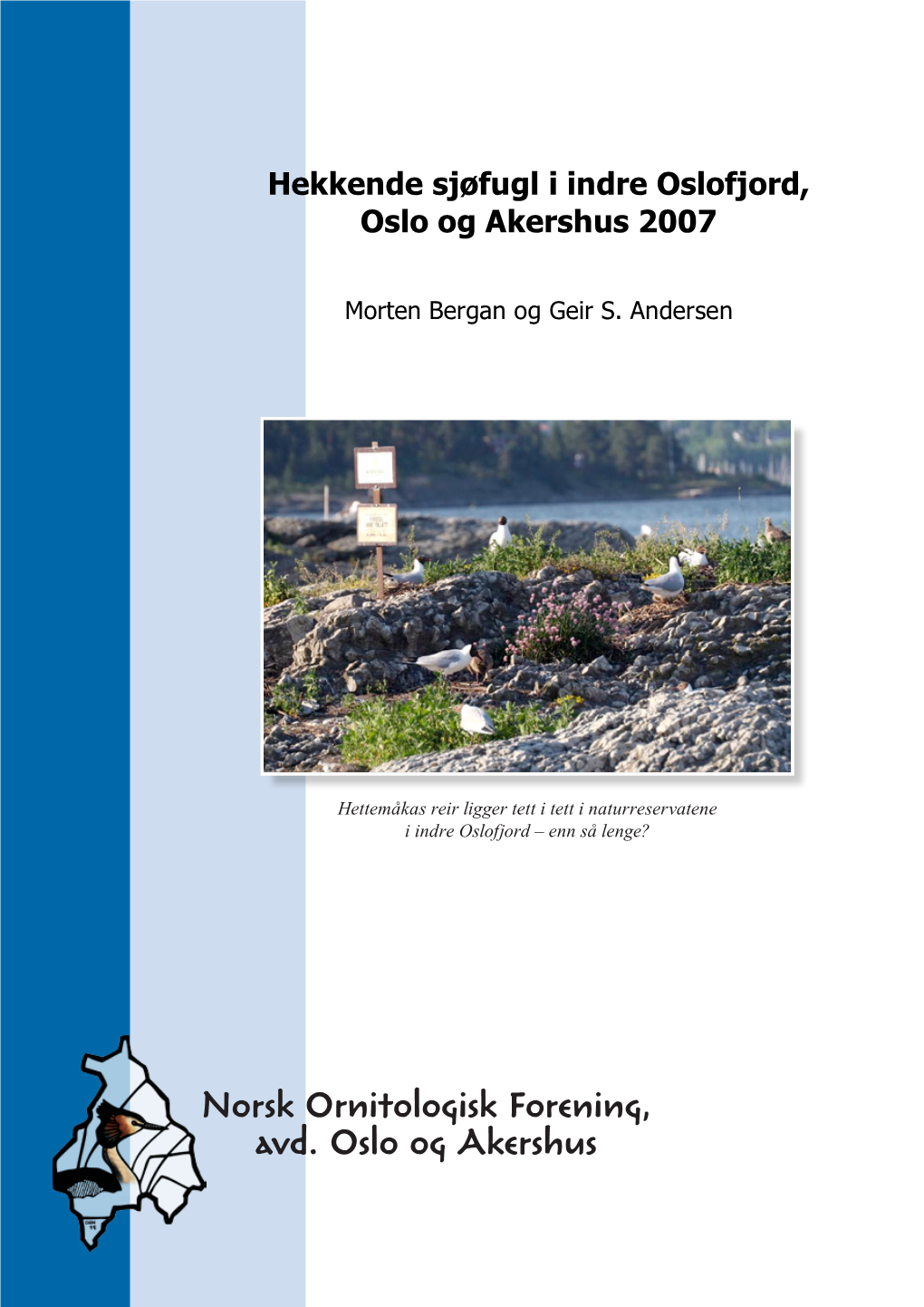 Hekkende Sjøfugl I Indre Oslofjord, Oslo Og Akershus 2007