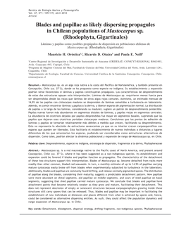 Blades and Papillae As Likely Dispersing Propagules in Chilean Populations of Mastocarpus Sp