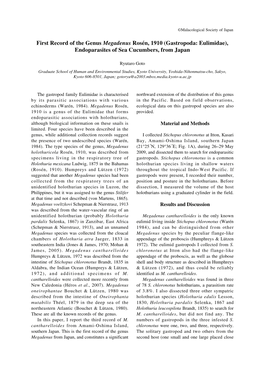 First Record of the Genus Megadenus Rosén, 1910 (Gastropoda: Eulimidae), Endoparasites of Sea Cucumbers, from Japan