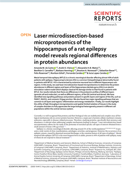 Laser Microdissection-Based Microproteomics of the Hippocampus of a Rat Epilepsy Model Reveals Regional Diferences in Protein Abundances Amanda M