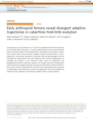 Early Anthropoid Femora Reveal Divergent Adaptive Trajectories in Catarrhine Hind-Limb Evolution