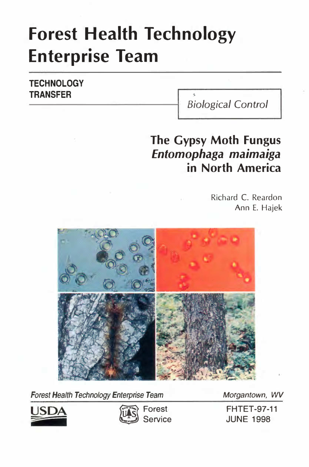 The Gypsy Moth Fungus Entomophaga Maimaiga in North America