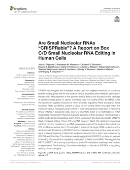 A Report on Box C/D Small Nucleolar RNA Editing in Human Cells