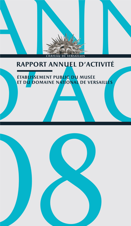Rapport D'activité 2008