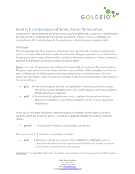 Guide to E. Coli Genotype and Genetic Marker Nomenclature