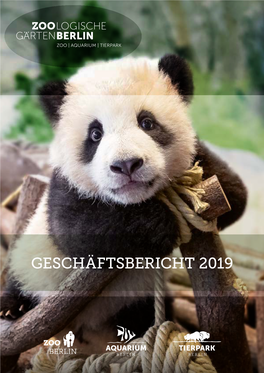 Geschäftsbericht 2019 Geschäftsbericht 2019