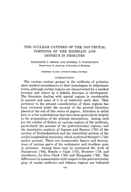 The Nuclear Pattern of the Non-Tectal Portions of the Midbrain and Isthmus in Primates