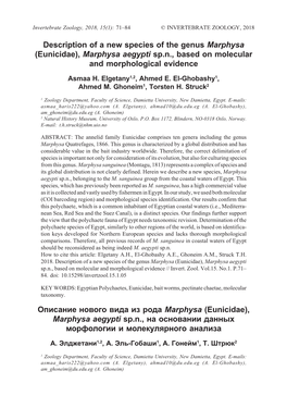Description of a New Species of the Genus Marphysa (Eunicidae), Marphysa Aegypti Sp.N., Based on Molecular and Morphological Evidence