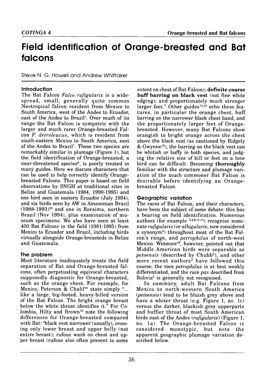 Field Identification of Orange-Breasted and Bat Falcons