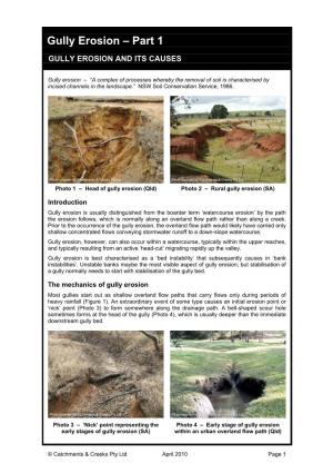 Gully Erosion and Its Causes