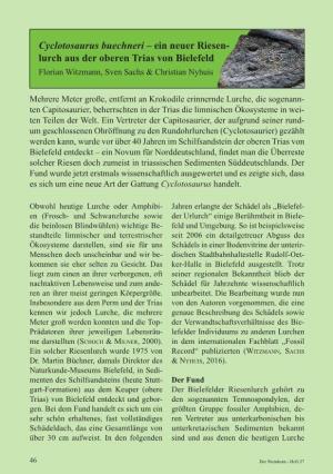 Cyclotosaurus Buechneri – Ein Neuer Riesenlurch Aus Der Oberen Trias Von Erhältlich Unter Bielefeld, In: Der Steinkern – Heft 27 (4/2016), S