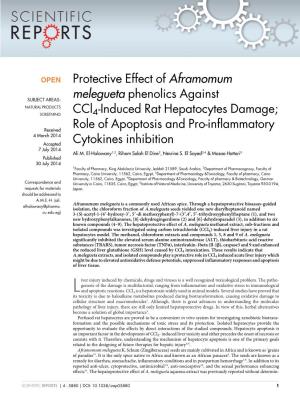 Protective Effect of Aframomum Melegueta Phenolics Against Ccl4-Induced Rat Hepatocytes Damage; Role of Apoptosis and Pro-Inflammatory Cytokines Inhibition