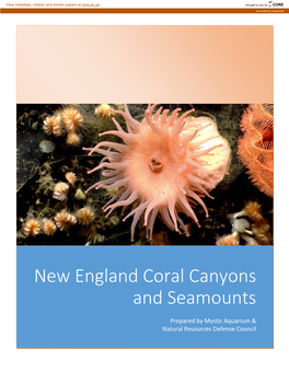 New England Coral Canyons and Seamounts