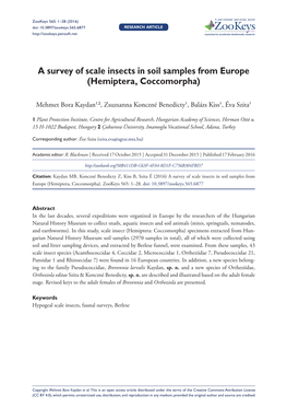 A Survey of Scale Insects in Soil Samples from Europe (Hemiptera, Coccomorpha)