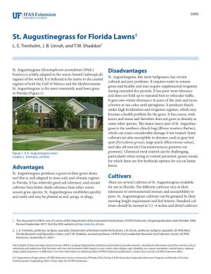 St. Augustinegrass for Florida Lawns1 L