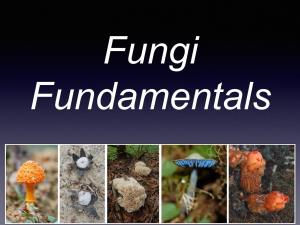 Fungi Fundamentals What Is Biology? What Is Life? Seven Common Components to All Life Forms