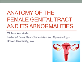 Anatomy of the Female Genital Tract and Its