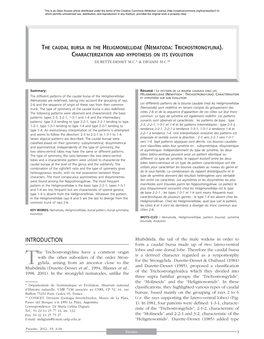 The Caudal Bursa in the Heligmonellidae \(Nematoda