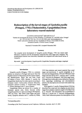 (Petagna, 1792) (Thalassinidea, Upogebiidae) from Laboratory-Reared Material