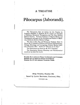 Pilocarpus (Jaborandi)
