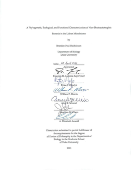 Appendix 1B. Sequences in Rhizobiales Phylogeny