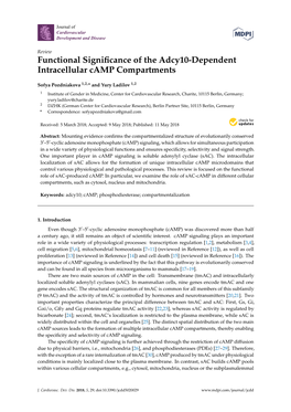 Functional Significance of the Adcy10-Dependent Intracellular