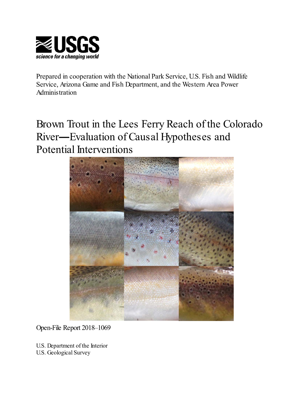 Brown Trout in the Lees Ferry Reach of the Colorado River—Evaluation of Causal Hypotheses and Potential Interventions