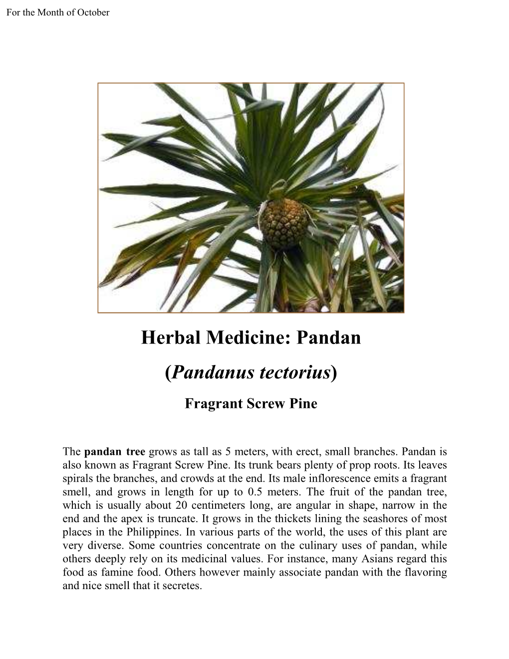 Herbal Medicine: Pandan (Pandanus Tectorius)