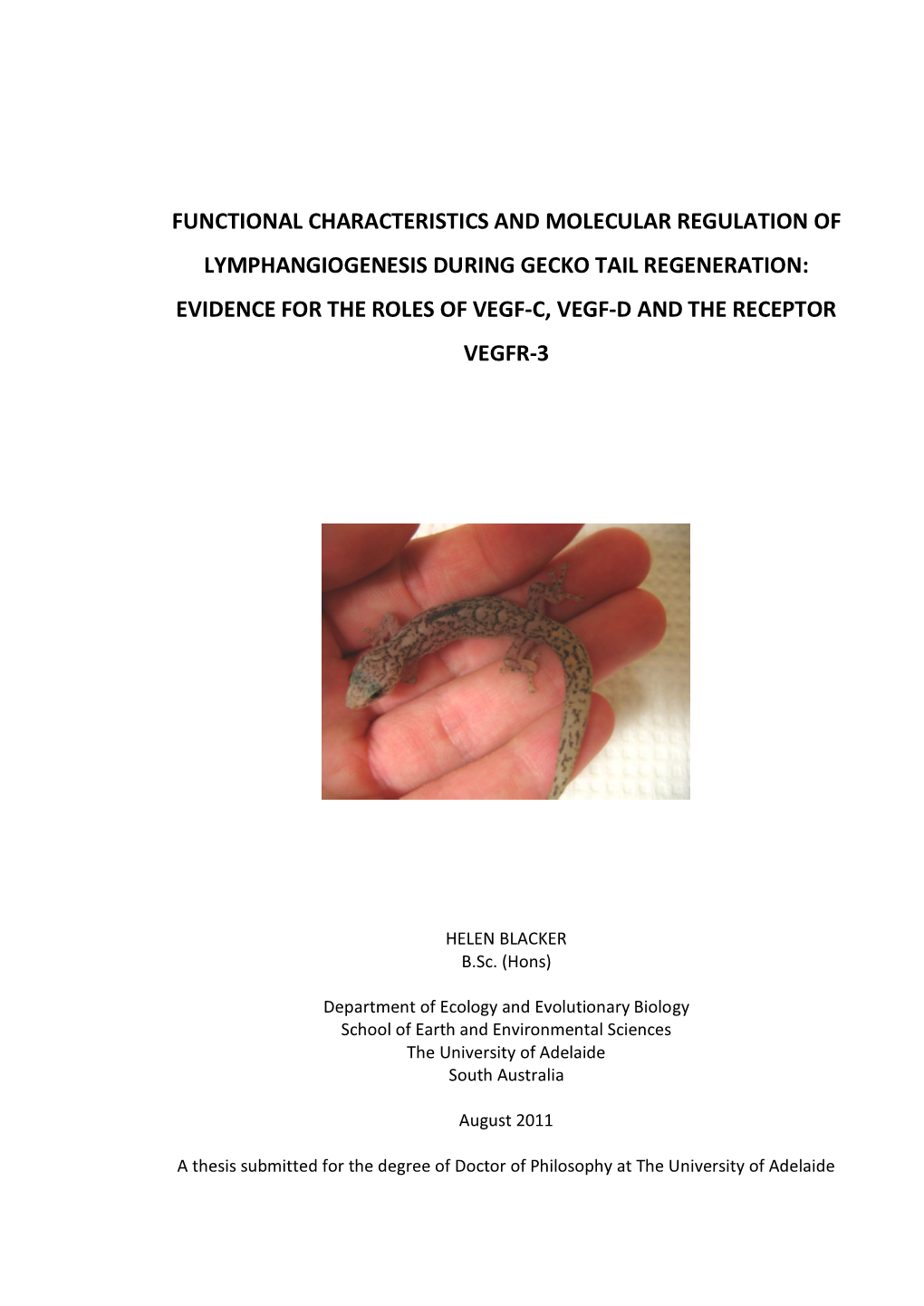 Chapter One INSIGHTS INTO LYMPHANGIOGENESIS and LIZARD TAIL REGENERATION