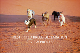 Restricted Breed Declaration Review Process