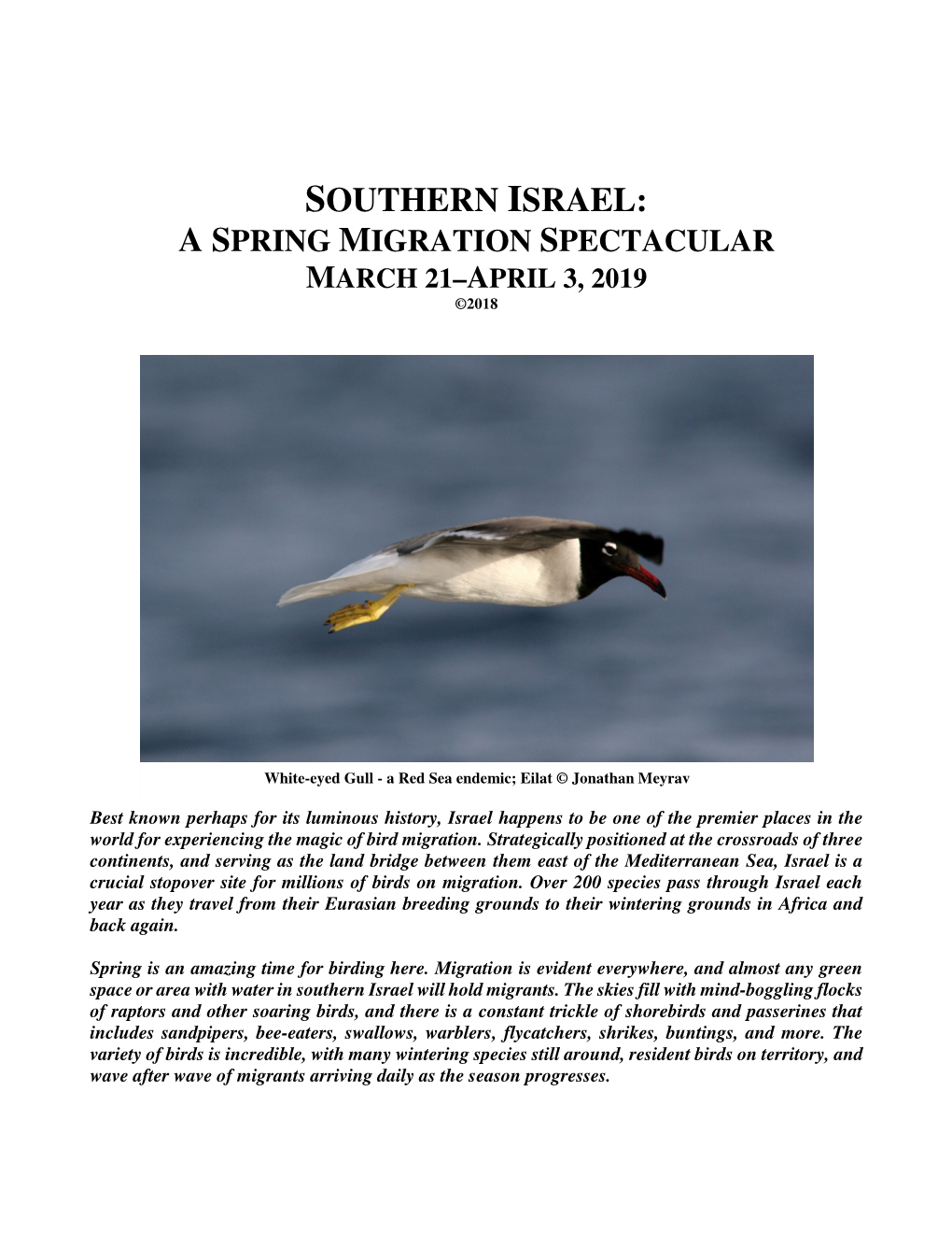 Southern Israel: a Spring Migration Spectacular March 21–April 3, 2019 ©2018