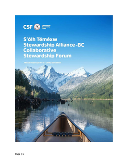 Download the CSF 2020-2021 Year End Report