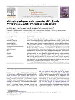 Verrucariaceae, Eurotiomycetes) and Allied Genera