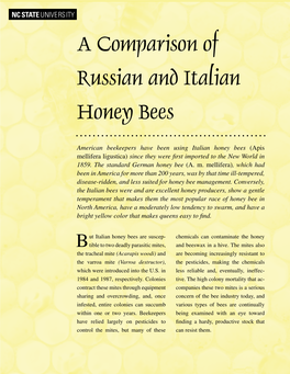 A Comparison of Russian and Italian Honey Bees