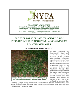 Slender False Brome (Brachypodium Sylvaticum Ssp. Sylvaticum): a New Invasive Plant in New York