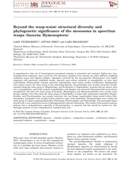 Beyond the Waspwaist: Structural Diversity And