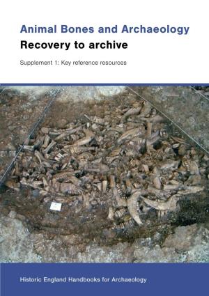Animal Bones and Archaeology Recovery to Archive