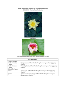 Plant Propagation Protocol for [Nymphaea Tetragona] ESRM 412 – Native Plant Production