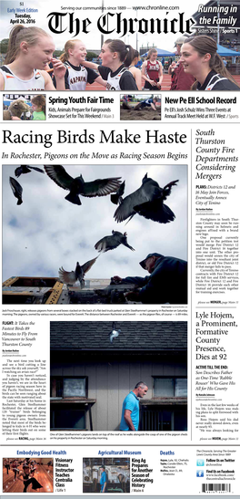 Racing Birds Make Haste