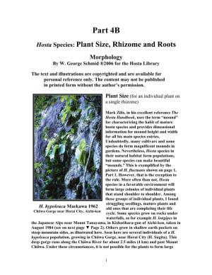 Part 4B Hosta Species: Plant Size, Rhizome And